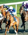 APPLE PICK ON WINNING TRAIL1