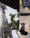 Fire brigade rescues toddler locked inside room in Nanded25