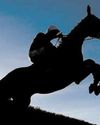BHA STRATEGY TO TACKLE 'CONSISTENT PATTERN' OF RACISM44