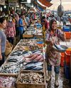 Shiv Sena (UBT) slams alleged ban on cutting fish in Mumbai markets Shiv Sena (UBT) slams alleged ban on cutting fish in Mumbai markets20