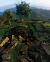 Java's Megalithic Mountain Java's Megalithic Mountain