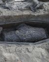 Medical Malfeasance - Archaeologists uncovered two coffins during excavations of a nineteenth-century cemetery in Quebec City that provide evidence of the illicit practice of diverting corpses for the study of human anatomy. Medical Malfeasance - Archaeologists uncovered two coffins during excavations of a nineteenth-century cemetery in Quebec City that provide evidence of the illicit practice of diverting corpses for the study of human anatomy.