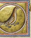 STICKING TO THE RAPTOR DIET Archaeology
