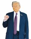 US does 'not need' help from allies on Iran, Trump says44