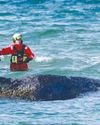 Whale stranded on German coast swims off, gets stuck again29