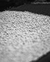 PHL wants to buy fertilizer from Russia, Belarus31