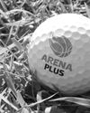 ArenaPlus reinforces support for golf community through Golden Tee Tourney61