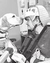 GOOD DOC! GOOD DOC!17