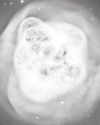 Dying star resembles billowing crystal ball in new telescope photo Dying star resembles billowing crystal ball in new telescope photo4