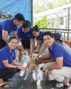 917Ventures employees roll up their sleeves for rescued animals at Biyaya Sanctuary17