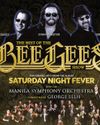 Night fever returns with 'The Best of Bee Gees'44