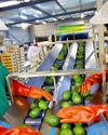 malaya Business Insight