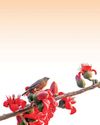 પુષ્પો સાથે વાત કરવાનો સમય! Chitralekha Gujarati