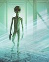 PROOF OF ALIEN LIFE PROOF OF ALIEN LIFE
