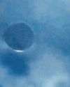 UFO CAUGHT ON CAMERA! Globe US