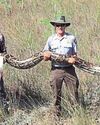 ROBO-RABBITS SENT TO SQUEEZE PYTHONS Globe US