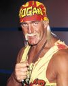 HULK HOGAN'S FINAL FIGHT Globe US