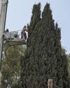 In Jerusalem