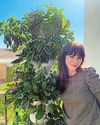 How does your GARDEN GROW? Star