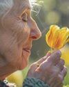 KOKU KAYBI VE ALZHEIMER İLİŞKİSİ KOKU KAYBI VE ALZHEIMER İLİŞKİSİ7