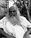നടരാജഗുരുവിന്റെ തത്വചിന്താസാഗരം നടരാജഗുരുവിന്റെ തത്വചിന്താസാഗരം