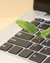 Exhibit