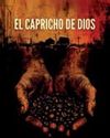 NARRATIVA ESPAÑOLA NARRATIVA ESPAÑOLA55