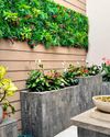 PLANTIA REVOLUCIONA LA CREACIÓN DE ESPACIOS VERDES DECORATIVOS6