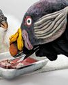Neighborhood News: When Feeding Is Also Puppeteering Neighborhood News: When Feeding Is Also Puppeteering