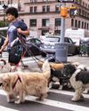 New York magazine