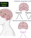 Language Activates Underlying Brain Processes That Affect Emotions, Judgments, And Actions