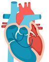 Living with Ventricular Septal Defect (VSD) Living with Ventricular Septal Defect (VSD)