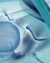 Surge in Interest in Egg Freezing among Career-oriented Women, enquiries up by 25%: Doctor8