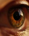 Health Vision