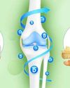 Calcium+Vitamin D The Ultimate Duo for Strong Bones5