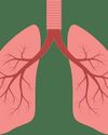 Breathe Easy India Protecting Respiratory Health0