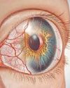 Health Vision