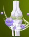 Health Vision