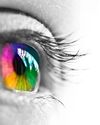 Colour Blindness Seeing the World Differently Colour Blindness Seeing the World Differently13