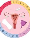 Why Am I Not Ovulating? Common Causes and Treatments Why Am I Not Ovulating? Common Causes and Treatments22