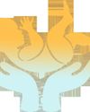 Top Ten tips to Foundations of Infant Care Top Ten tips to Foundations of Infant Care5