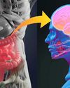 Basic Food Science behind "AUTISM" Basic Food Science behind "AUTISM"21