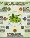 Health Vision