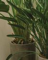 wall-to-wall GREEN wall-to-wall GREEN
