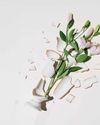 Why it's good TO FAIL Why it's good TO FAIL12