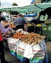 Ireland potato farmers unable to complete planting