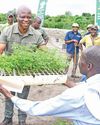 Hemp permits and irrigation system handed over