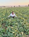 veggie Award-winning farmer: don't be afraid to ask for advice!