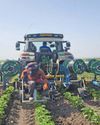 Addressing water scarcity and other agri issues through innovative irrigation