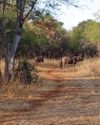 A brilliant bushveld break between Bela-Bela and Modimolle